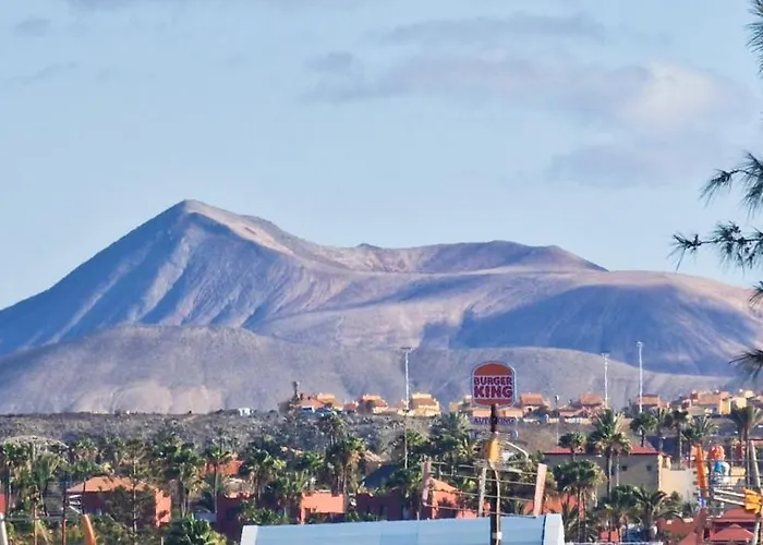 Blue House קורלחו